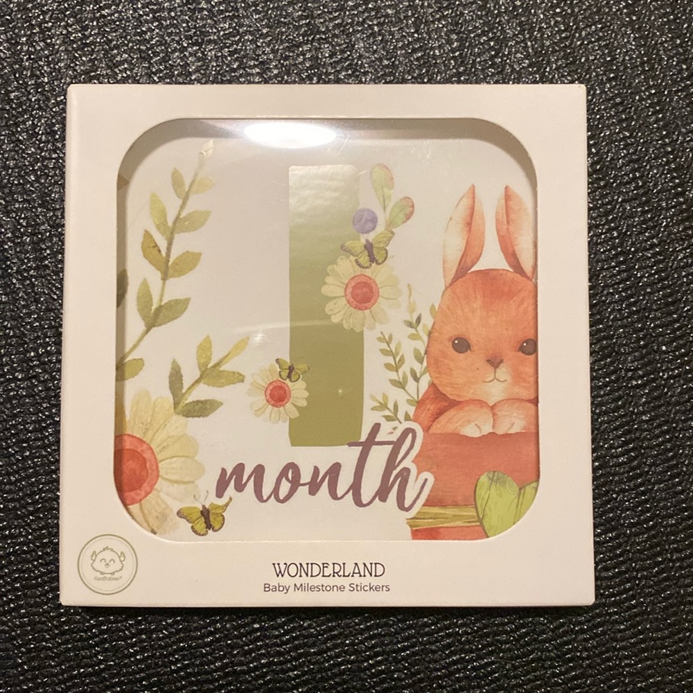 Keababies Baby Milestone Stickers NWT